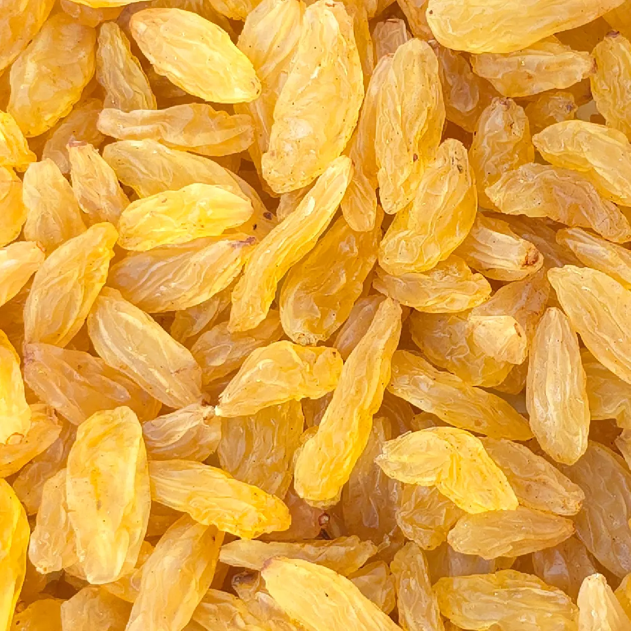 Buy Malayar Raisins from india